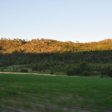 CarapitoPinheirinhos - Quinta De Sao Caetano别墅 外观 照片