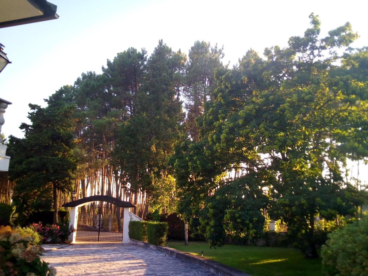 CarapitoPinheirinhos - Quinta De Sao Caetano别墅 外观 照片