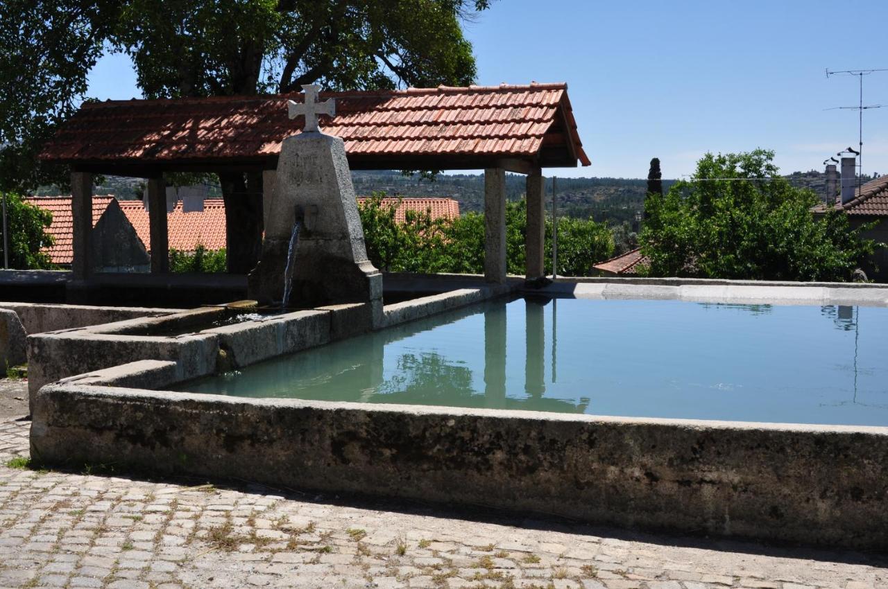CarapitoPinheirinhos - Quinta De Sao Caetano别墅 外观 照片