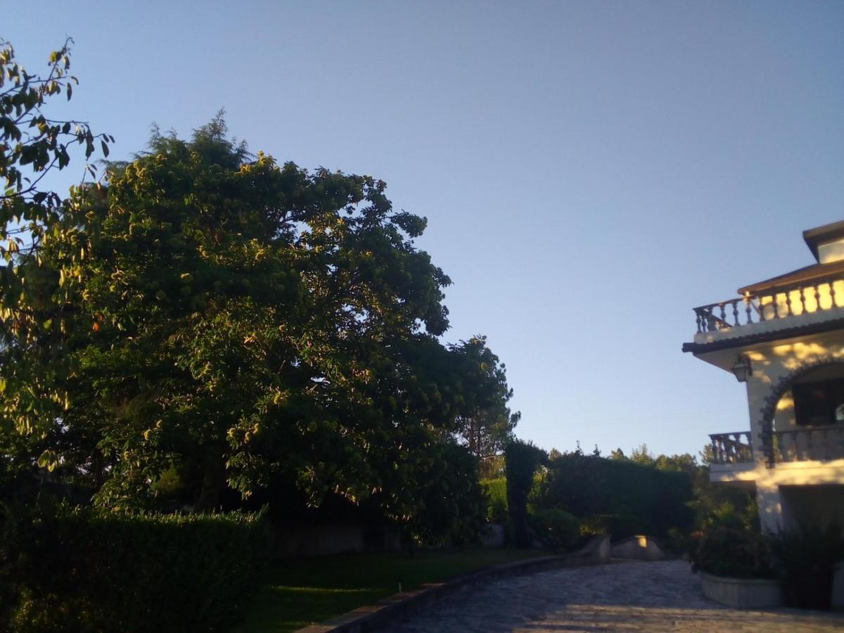 CarapitoPinheirinhos - Quinta De Sao Caetano别墅 外观 照片